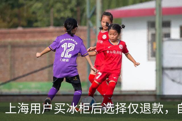上海用户买冰柜后选择仅退款，自称冰柜"已销毁"无法退货，商家跨省索要后发现冰柜正插电使用，结局亮了